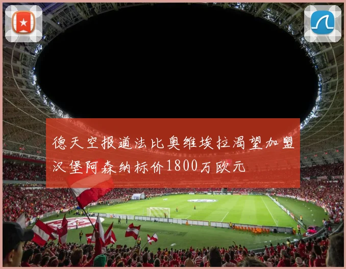 德天空报道法比奥维埃拉渴望加盟汉堡阿森纳标价1800万欧元